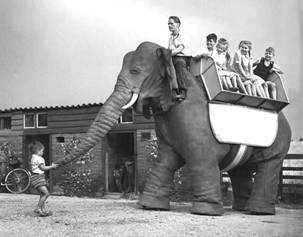 Elephant_getty