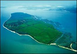 island.JPG