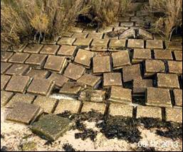 Sea Wall damage