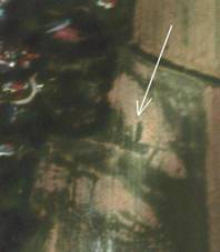 Crop marks in 2003