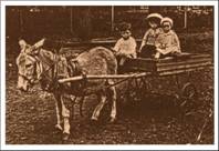 Pages, Rex, Winsum, Alan  & Aske, 1908